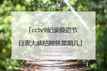 cctv9纪录频道节目表大战枯树林星期几