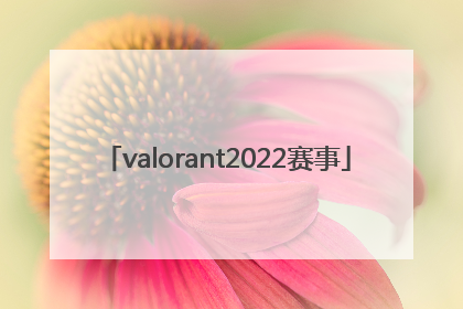 「valorant2022赛事」valorant2022全球冠军赛